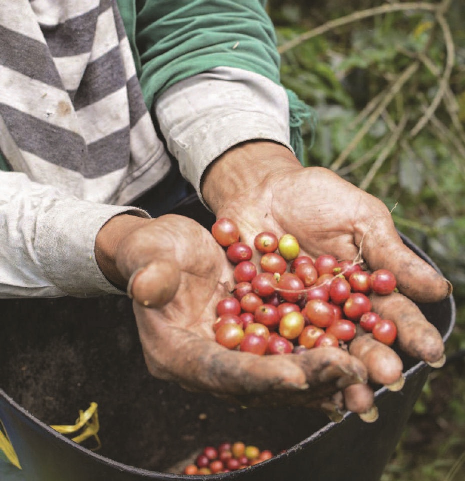 Specialty coffee